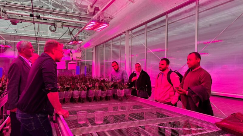 Egyptian Agribusiness Leaders Explore Dutch Agri-Education Models in Study Tour